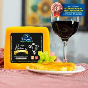 Queso Dambo