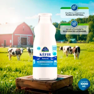 Kéfir Natural 1L